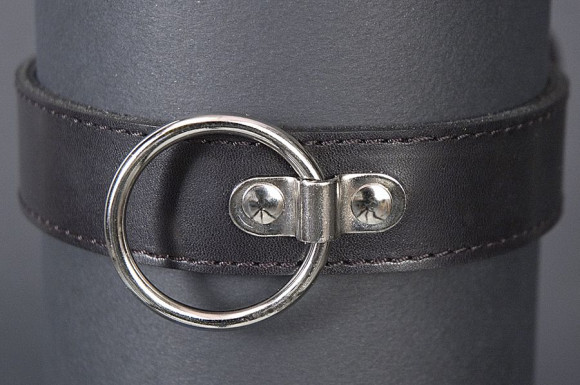 Женский ошейник из кожи с кольцом Женский ошейник из кожи с кольцом