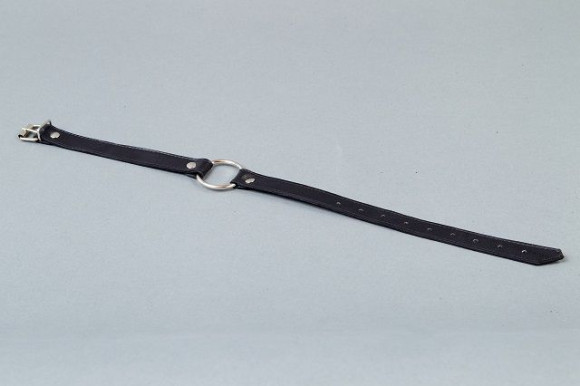 Кляп-расширитель с металлическим кольцом