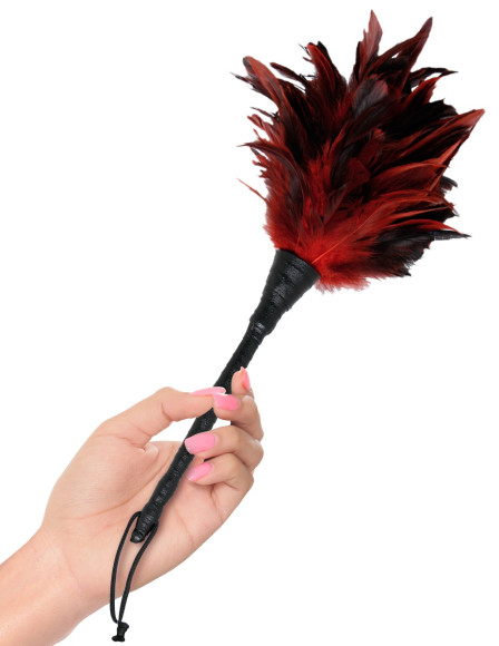 Кисточка с красно-чёрными пёрышками Frisky Feather Duster - 36 см. Кисточка с красно-чёрными пёрышками Frisky Feather Duster - 36 см.