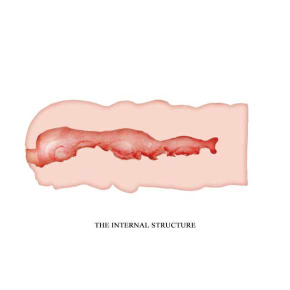 Телесный мастурбатор-вагина Isabel Телесный мастурбатор-вагина Isabel