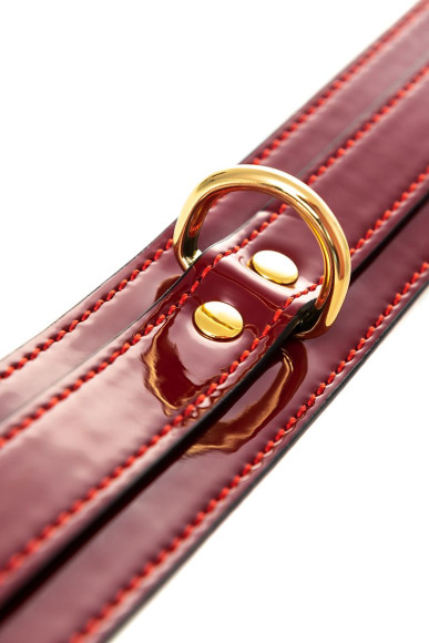 Красный ошейник из лакированного материала Красный ошейник из лакированного материала