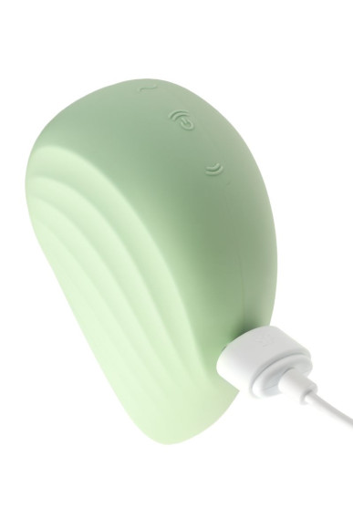 Салатовый вакуум-волновой стимулятор клитора Satisfyer Pearl Diver Салатовый вакуум-волновой стимулятор клитора Satisfyer Pearl Diver