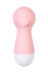 Розовый вакуум-волновой стимулятор Ixora Розовый вакуум-волновой стимулятор Ixora