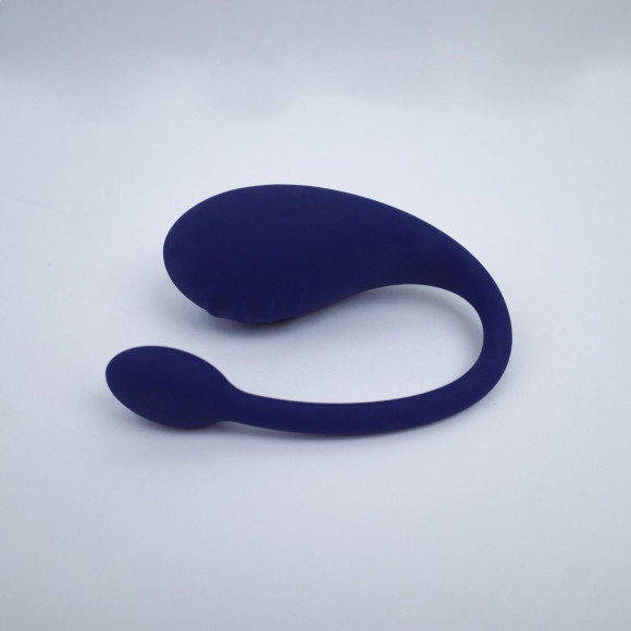 Синее виброяйцо Aurora Синее виброяйцо Aurora