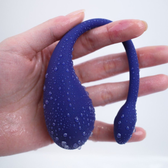 Синее виброяйцо Aurora Синее виброяйцо Aurora