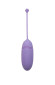 Сиреневое виброяйцо Mata Hari с пультом ДУ