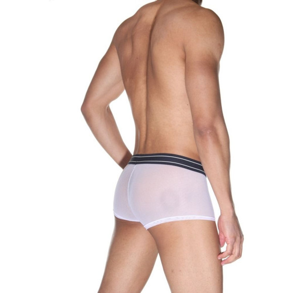 Мужские полупрозрачные трусы-боксеры Мужские полупрозрачные трусы-боксеры